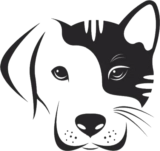 CertifiedPetSupport